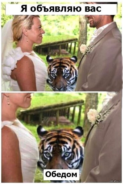 Я объявляю вас обедом