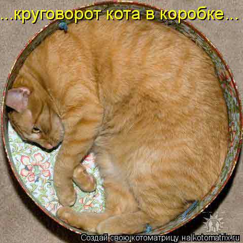 круговорот кота в коробке