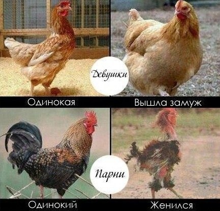 Парням не везет