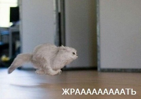 Когда есть еда