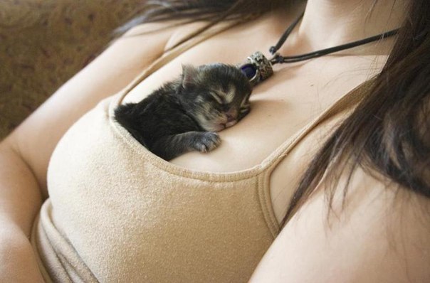 мой талисман