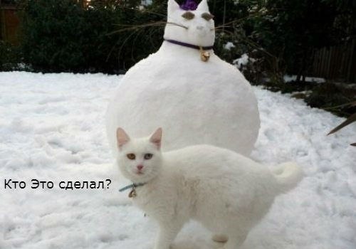 Не тому Мурка дала...