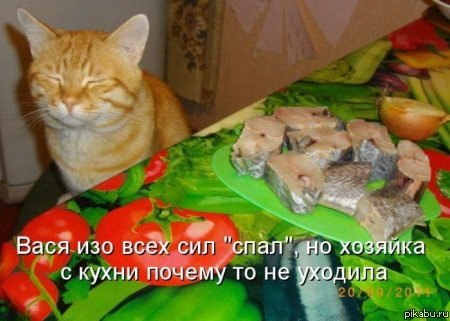 Рыбу я вообще не люблю... ага..