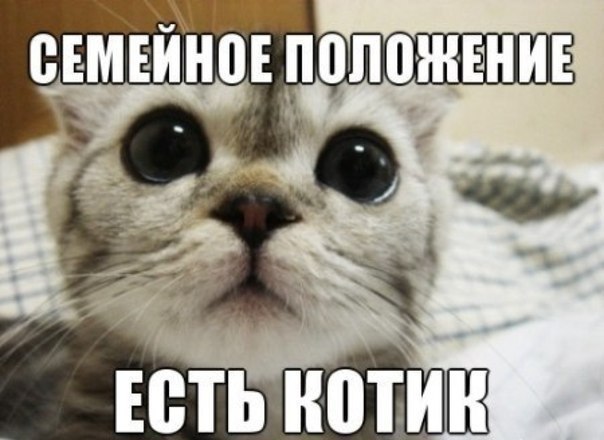 Я тоже семья!
