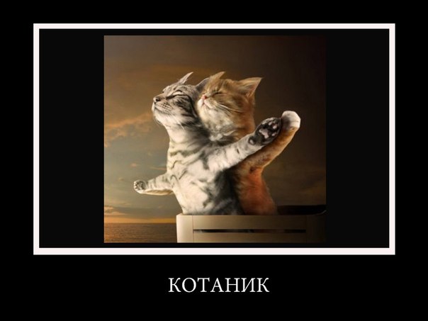 Котаник