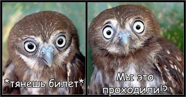 типичный студент