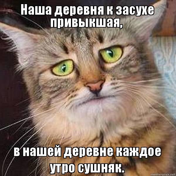 А валерьянка у тебя есть...?