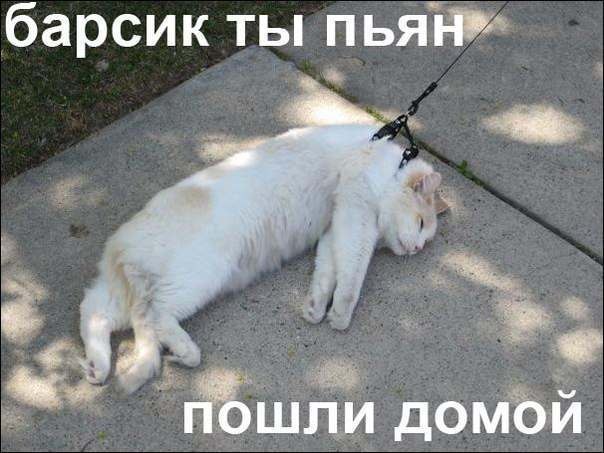 прям как наш папа )))