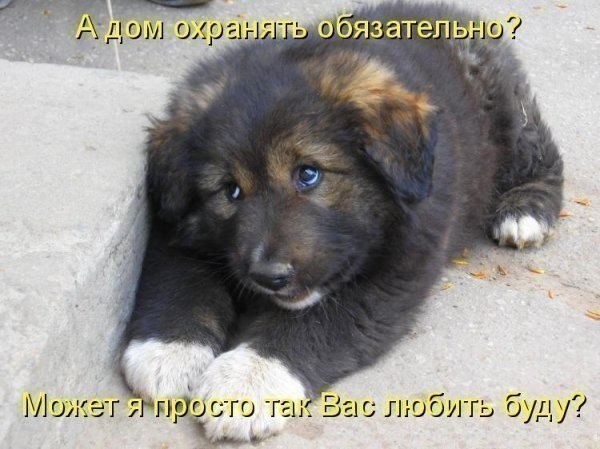 Попытка закосить