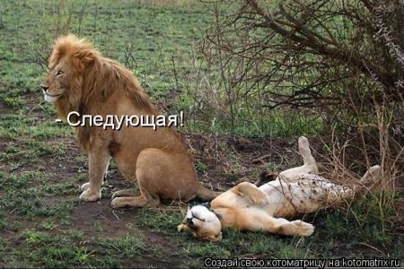 Настоящий полковник...!!!