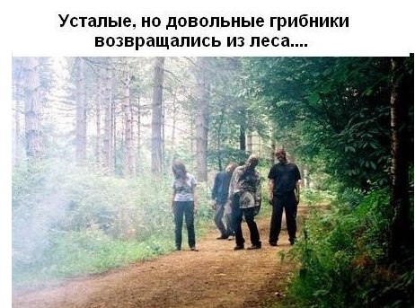 насобирались...