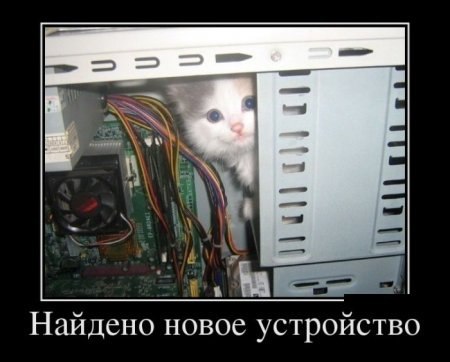 Устройство - кот