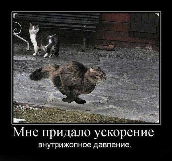 Мне придало ускоренье внутрижопное давленье.