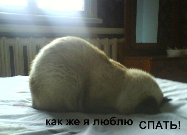 а кто не любит?