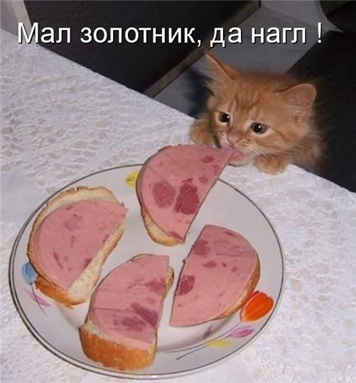 Охота... поесть по-человечески!