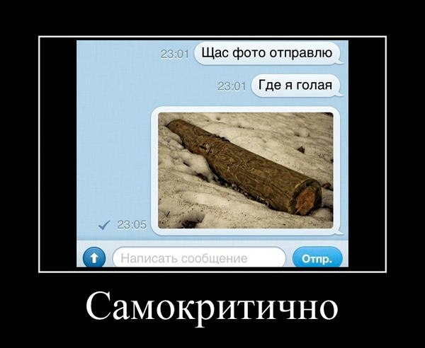 Ищу лесоруба... ну, типа, ядрёного парня, знающего толк в брёвнах!