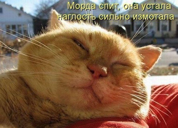 Слышь, свет выключи