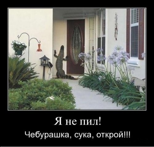 Ну пустите же меня!!!