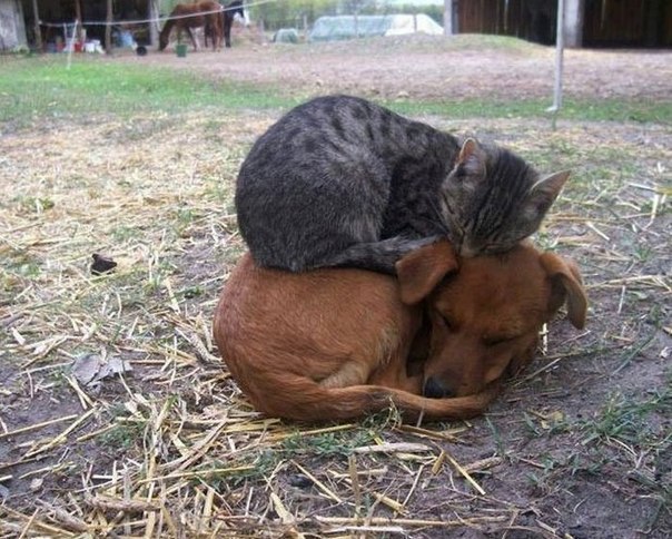 Угадай, где особоь женского пола...!!!