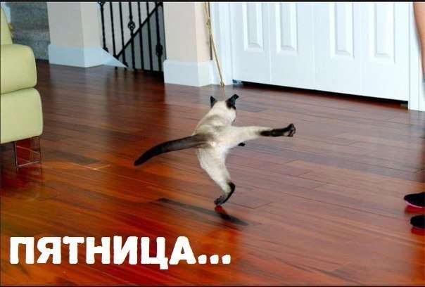 Уррааа! Пятница!!!
