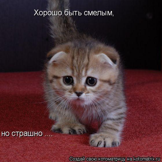 вах какой большой мышь!!!