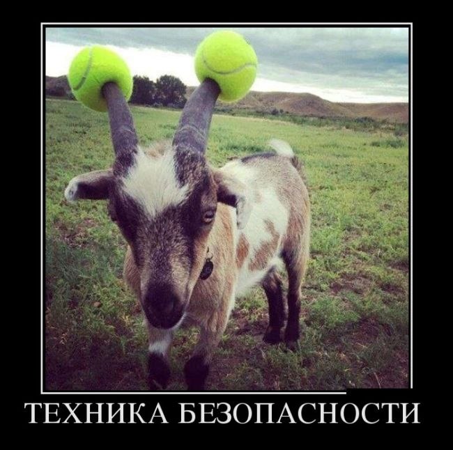 Уровень безопасности: МАКСИМАЛЬНЫЙ