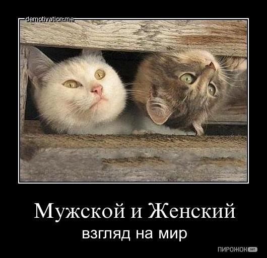 Мужчины и женщины