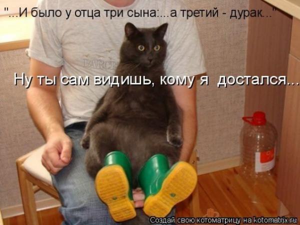 чтобы лапы не промокли