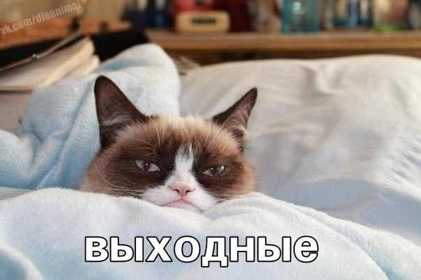 Похоже?
