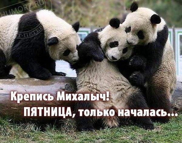 дрова...