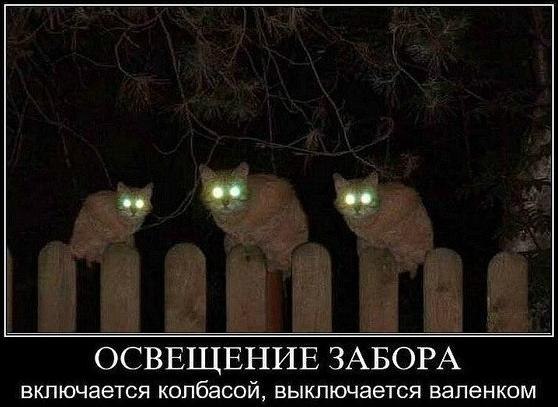 Сколково. Опыты по созданию экологичных биосветильников.