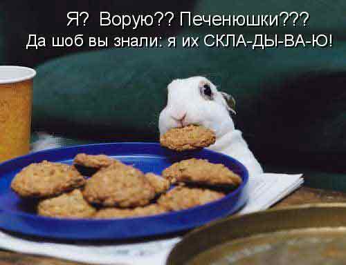 Я? Ворую?? Печенюшки??? Да шоб вы знали: я их СКЛА-ДЫ-ВА-Ю!
