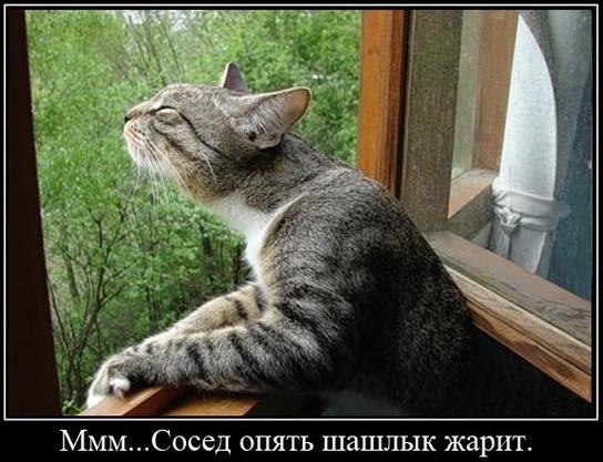 ммм... как пахнет...