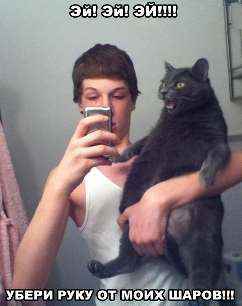ай! мяукательные шарики придавила!
