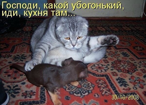 кухня там!