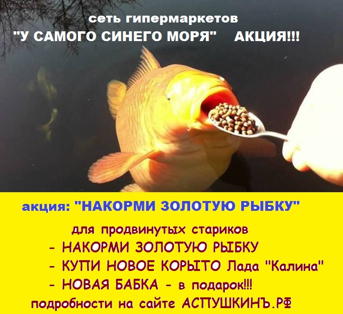 Чтобы желания исполнялись - кормить надо!