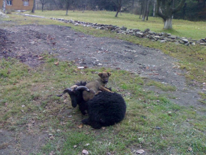 Ты комуналку заплатил? Ааа зачем,и так тепло