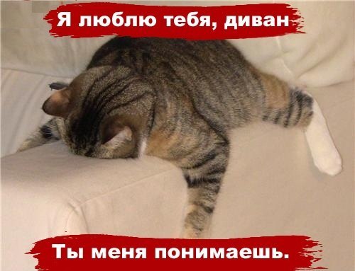 Искреная любовь