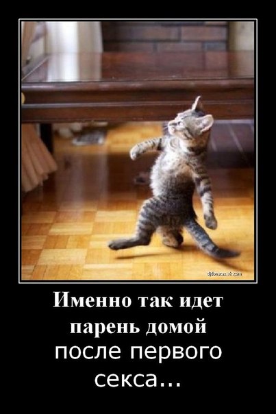 смешные картинки пора домой с работы радости