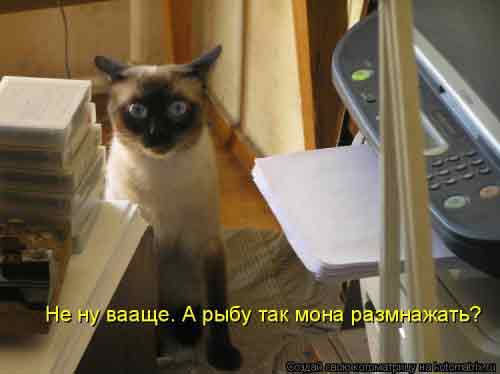 у этих людей забавы таакие странные...