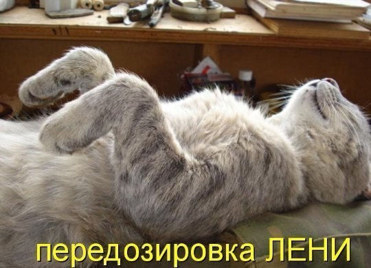 работа подождет