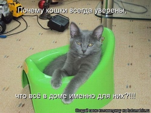 да, да... и кресло тоже твое...