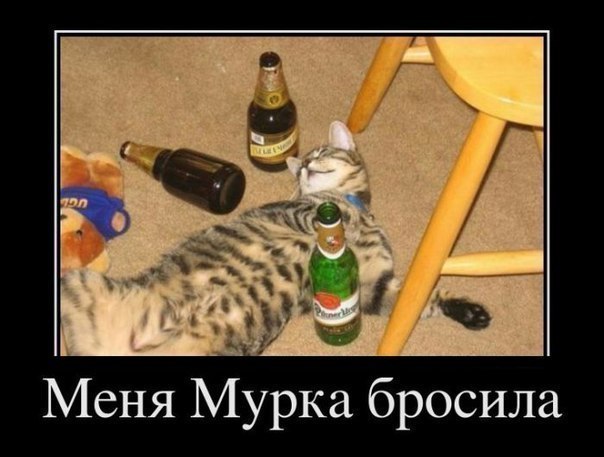 Ваську ушел в запой