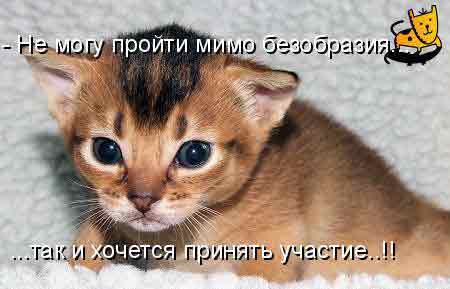 Послушный-Непослушный