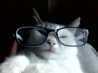 Ботаника взяла ВЕРХ