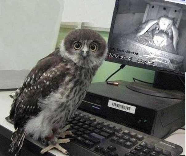 кто залез в мою личку?!...