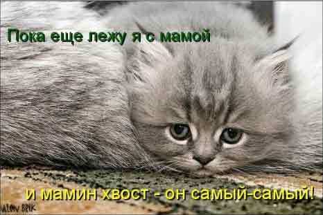 я люблю свою маму