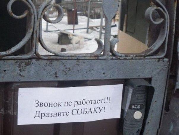 Проверьте щеколду и дразните собаку