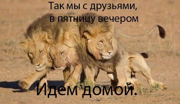 хорошо погуляли