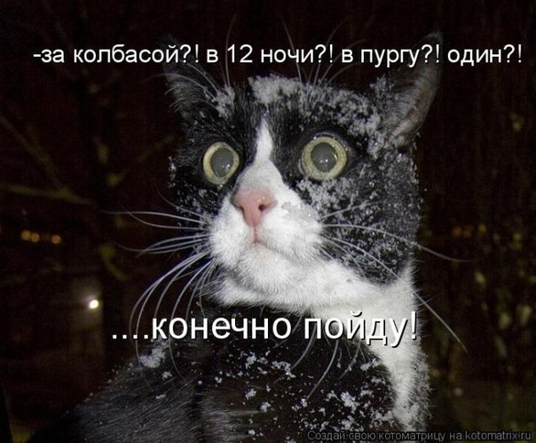 если вас попросили сходить за колбасой